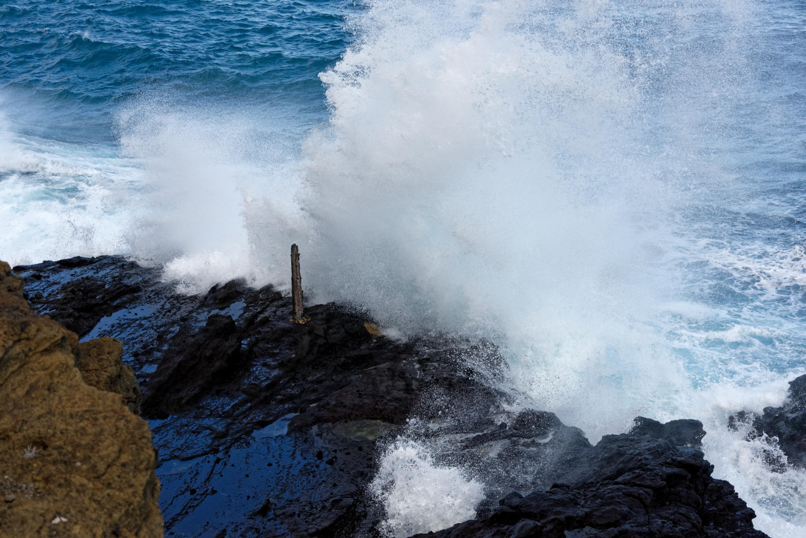 Oahu